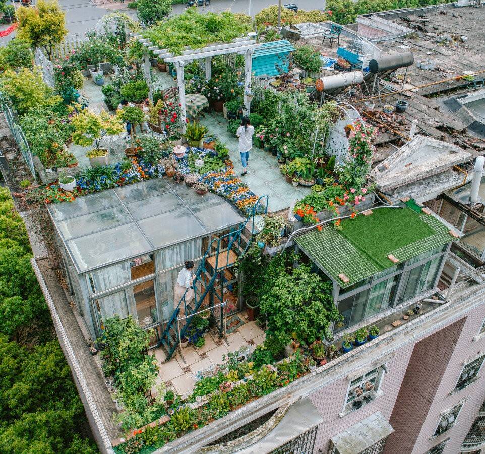 Sân vườn trên mái nhà tạo cảm giác dễ chịu cho mọi người Sân vườn trên mái nhà tạo cảm giác dễ chịu cho mọi người
